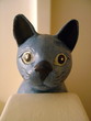 Blue Minou