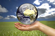 Foto: environnement_3 environnement_3