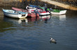 dans le port de ouessant dans le port de ouessant