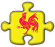 bottone puzzle wallonie wallonia button flag