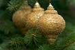 Photo: MACRO PICTURE OF THREE GOLDEN BULBS MACRO PICTURE OF THREE GOLDEN BULBS