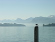 misty mountain lake