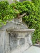 lion fountain