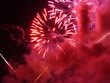 feu d'artifice rose