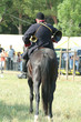 cavalier