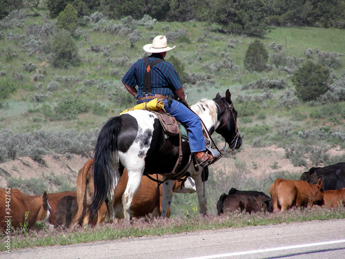 cowpoke