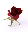 single emerging red rose bud single emerging red rose bud