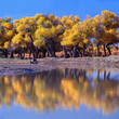 autumn autumn