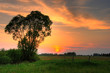 summer sunset summer sunset