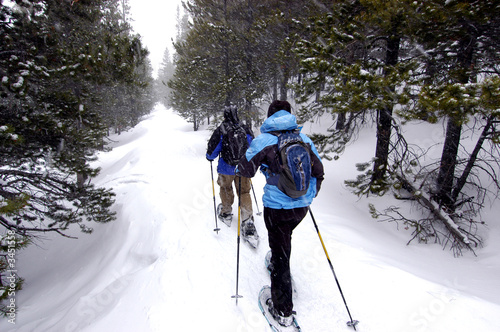Photo: Snow shoeing Snow shoeing