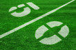 fifty yard line-diagonal