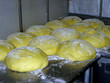 rounds of dough on bench