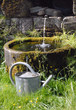 l'eau l'eau