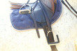 cavallo