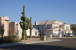 arizona cul-de-sac