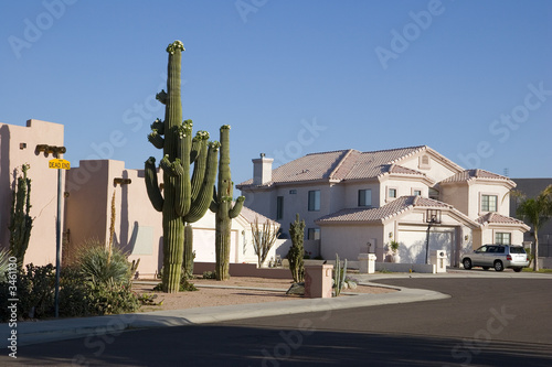 Photo: arizona cul-de-sac arizona cul-de-sac