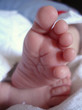 petit pied petit pied