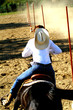 cavallo