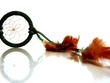 dreamcatcher