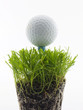 tee shot