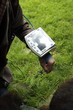 echographie d'un ânesse echographie d'un ânesse