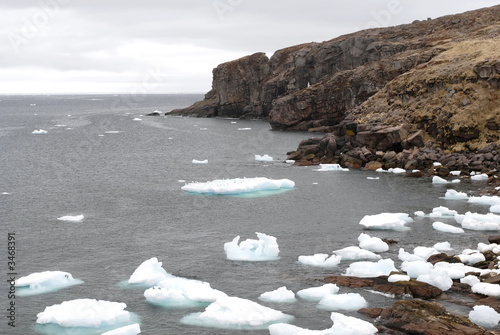 bay de verde, newfoundland icebergs