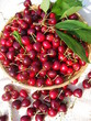 corbeille de cerises