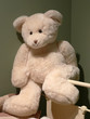 teddy bear
