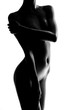 nude elegant girl.