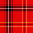 piece of tartan