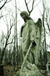 angel without nose sm angel without nose sm