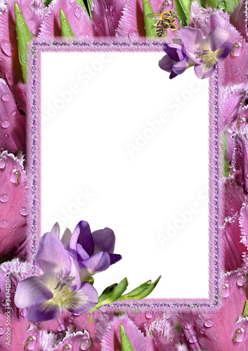 Photo: pink tulips frame pink tulips frame