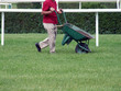 man with wheelbarrow on the field