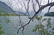 blick am see blick am see