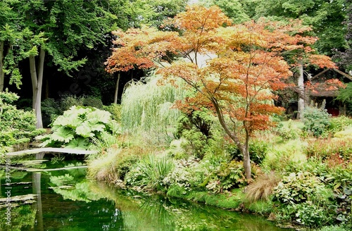 jardin japonais