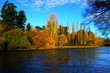 autumn river bank autumn river bank