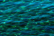 water ripples