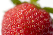 ripe juicy strawberry closed-up