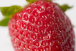 ripe juicy strawberry closed-up
