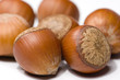hazelnut isolated on white