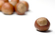 hazelnut isolated on white