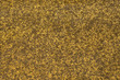 texture. dettaglio di antica copertina di libro texture. dettaglio di antica copertina di libro