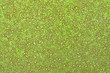 texture. dettaglio di antica copertina di libro texture. dettaglio di antica copertina di libro
