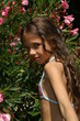 le laurier rose