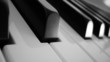 piano keys in black and white piano keys in black and white