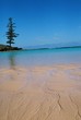 one tree beach one tree beach