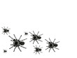 spiders spiders