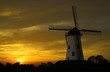 she wait don quijote