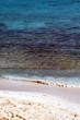 isolated beach in the bahamas (portrait mode)