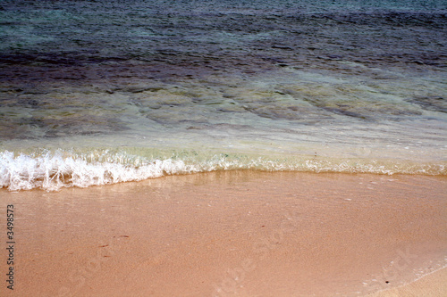beach in the bahamas beach in the bahamas
